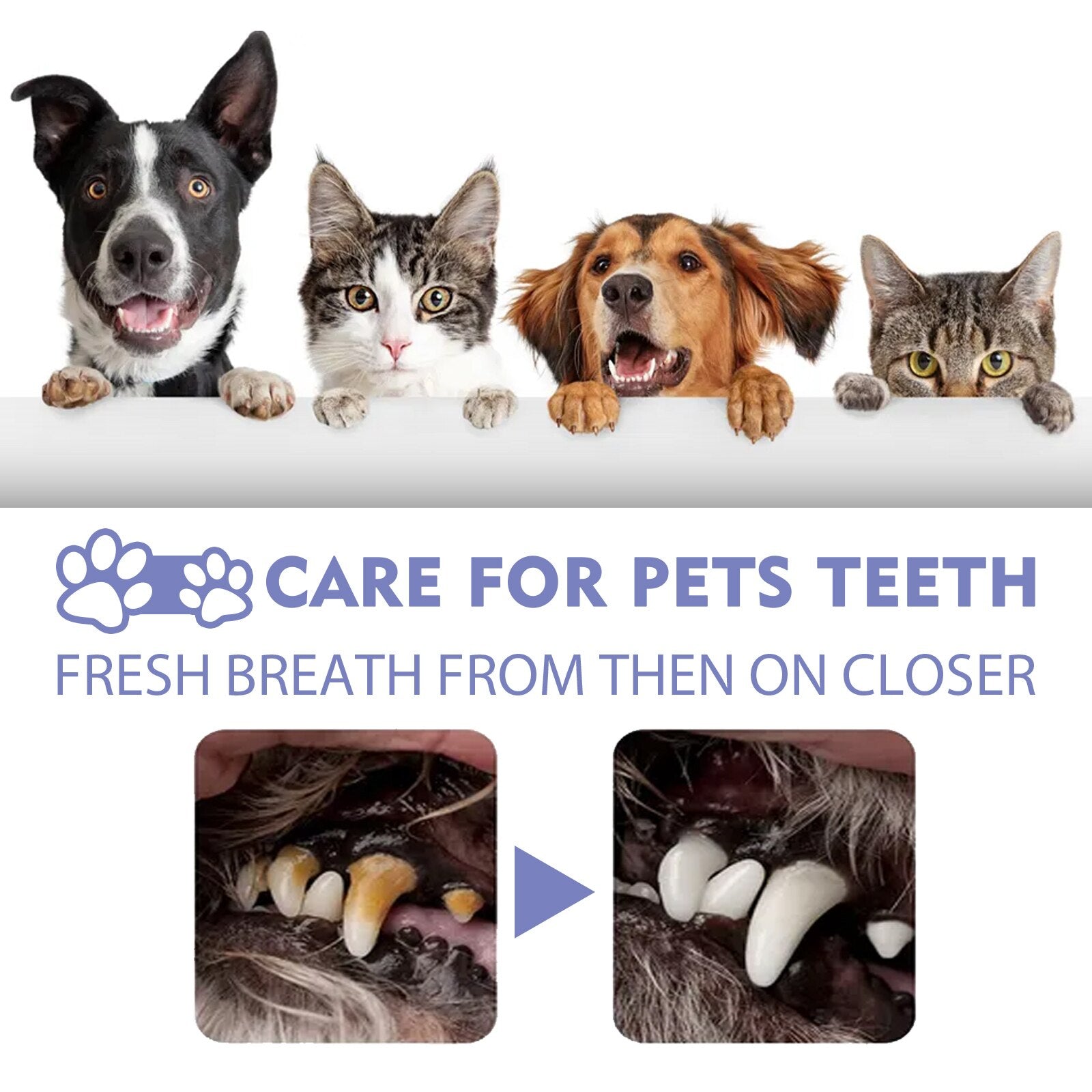 Pet Breath Freshener Spray